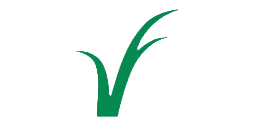 Cevasa Logo